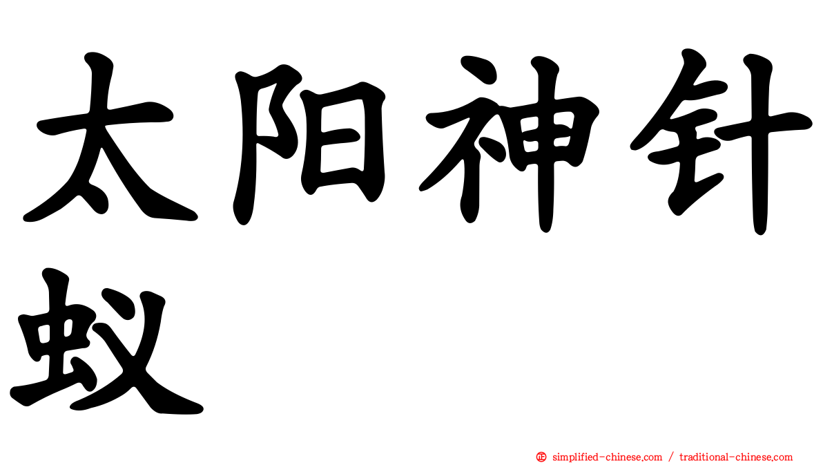 太阳神针蚁