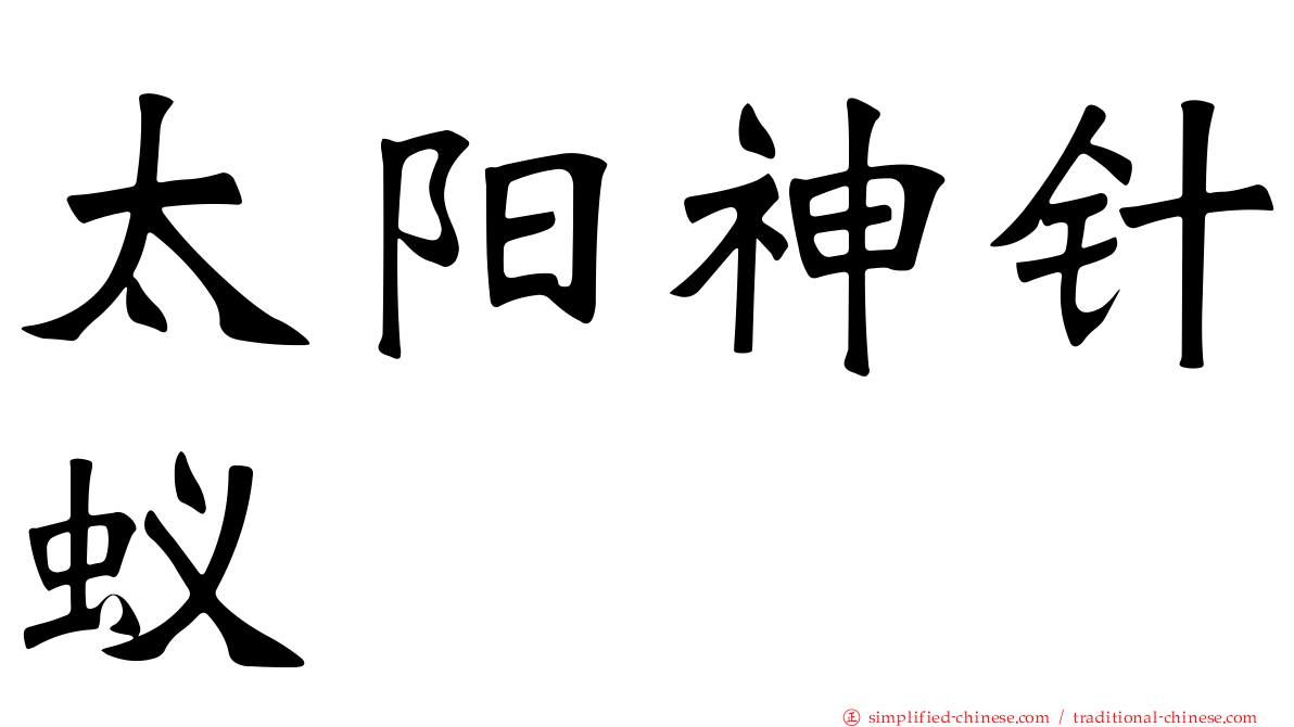 太阳神针蚁