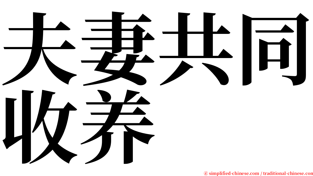 夫妻共同收养 serif font