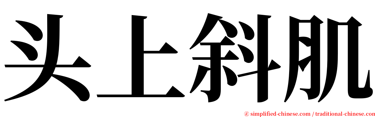 头上斜肌 serif font