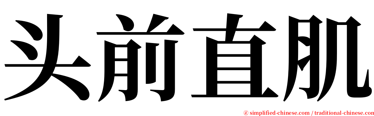 头前直肌 serif font