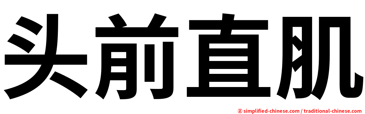 头前直肌