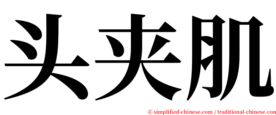 头夹肌 serif font