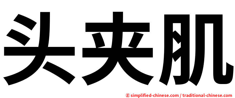头夹肌