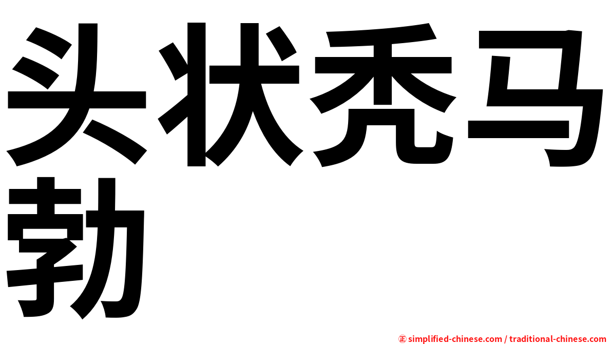 头状秃马勃