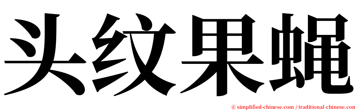 头纹果蝇 serif font