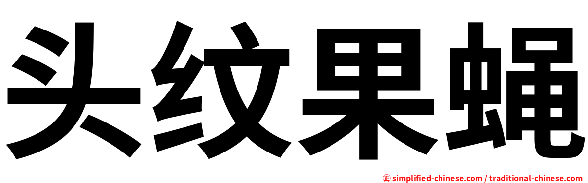 头纹果蝇