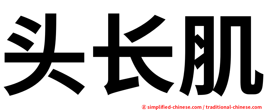 头长肌