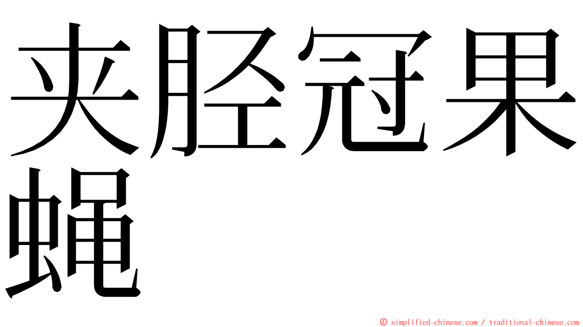 夹胫冠果蝇 ming font