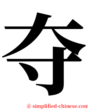 夺 serif font