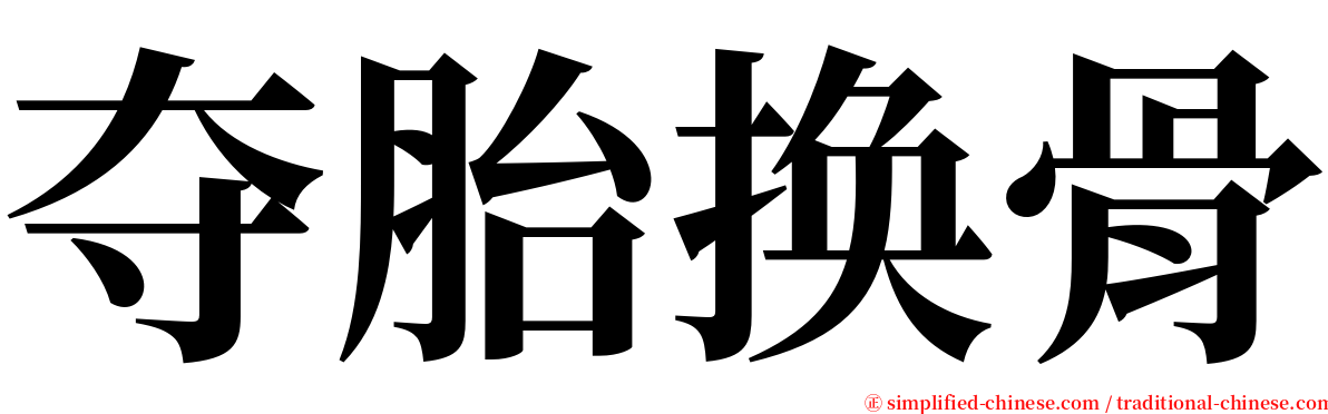 夺胎换骨 serif font