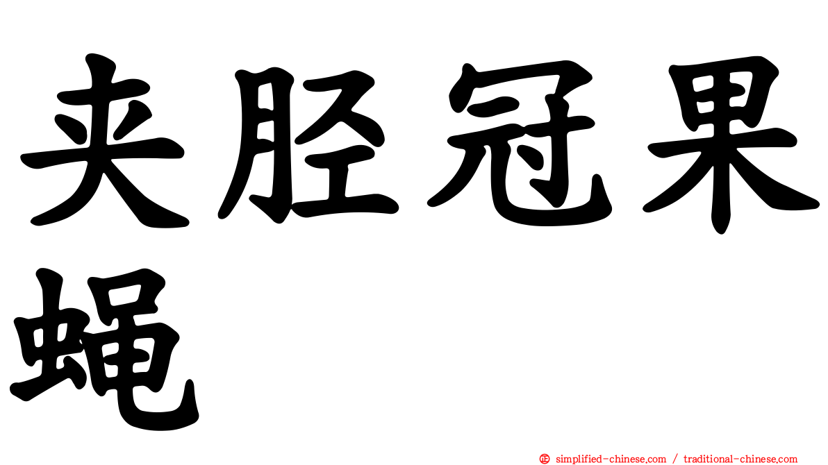 夹胫冠果蝇