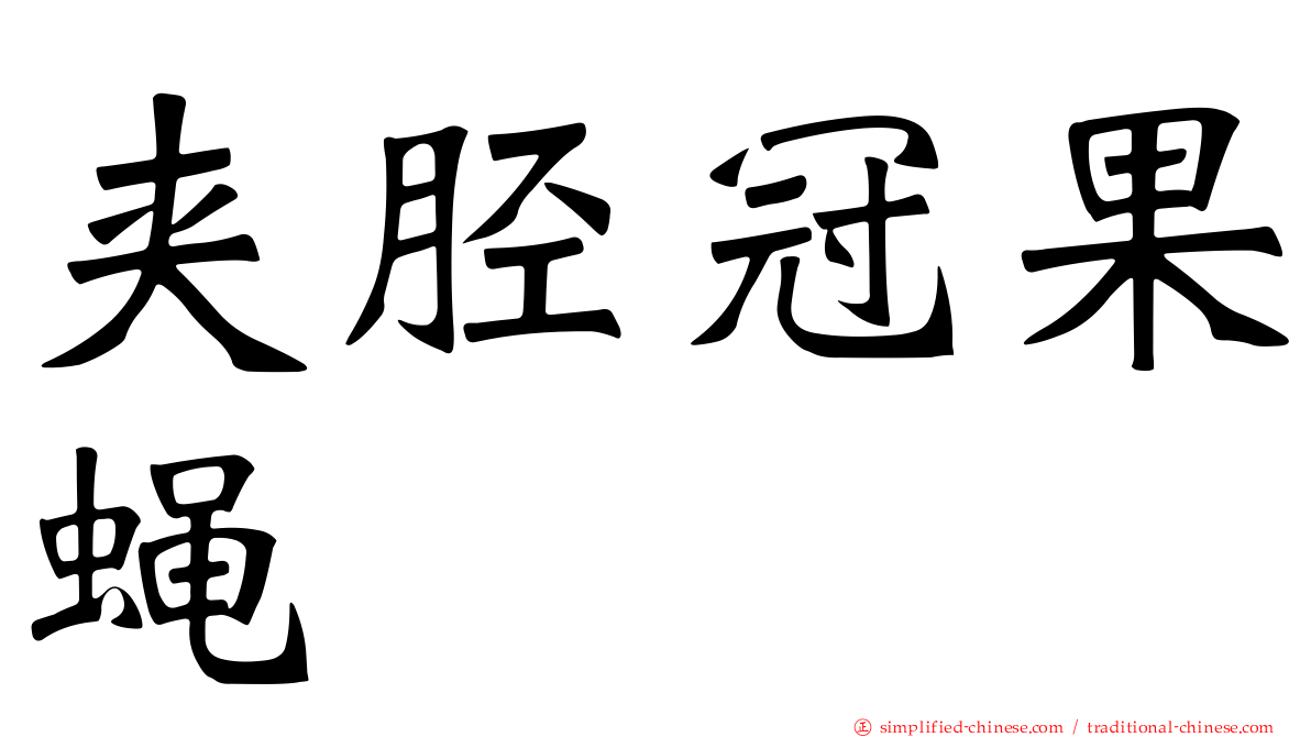 夹胫冠果蝇