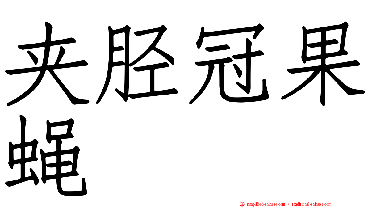 夹胫冠果蝇