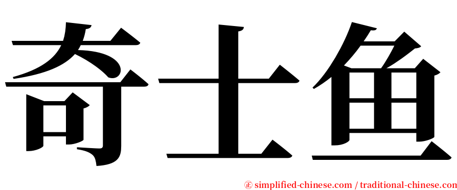 奇士鱼 serif font