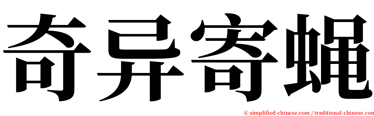 奇异寄蝇 serif font