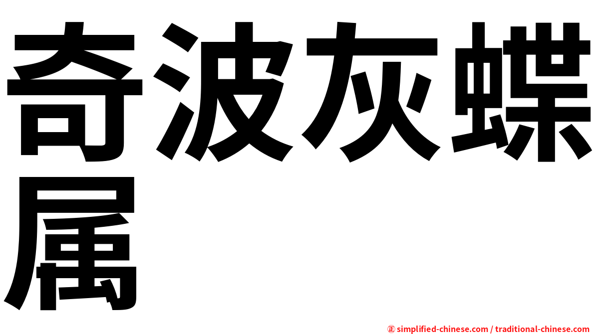 奇波灰蝶属