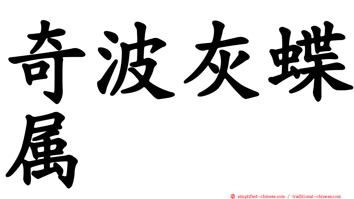奇波灰蝶属