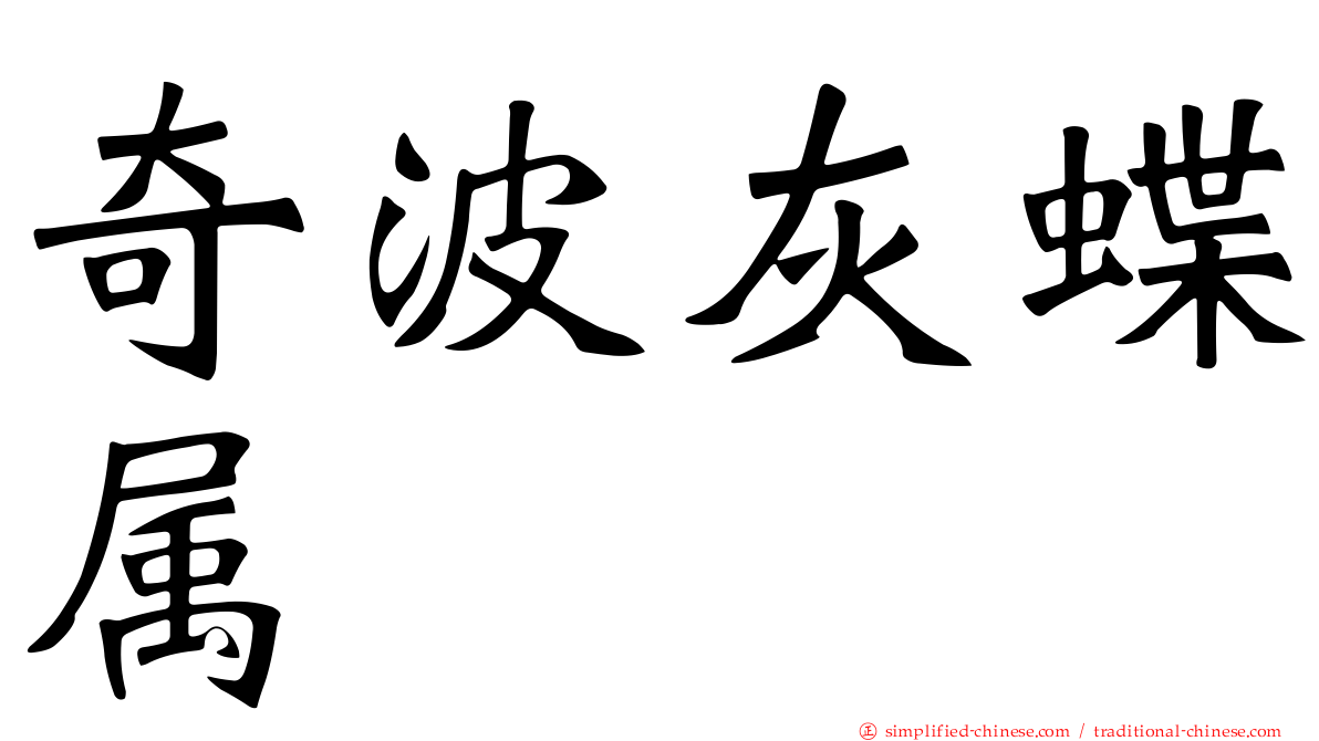 奇波灰蝶属