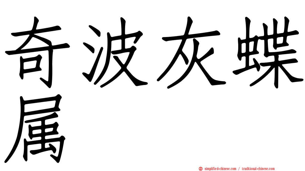 奇波灰蝶属