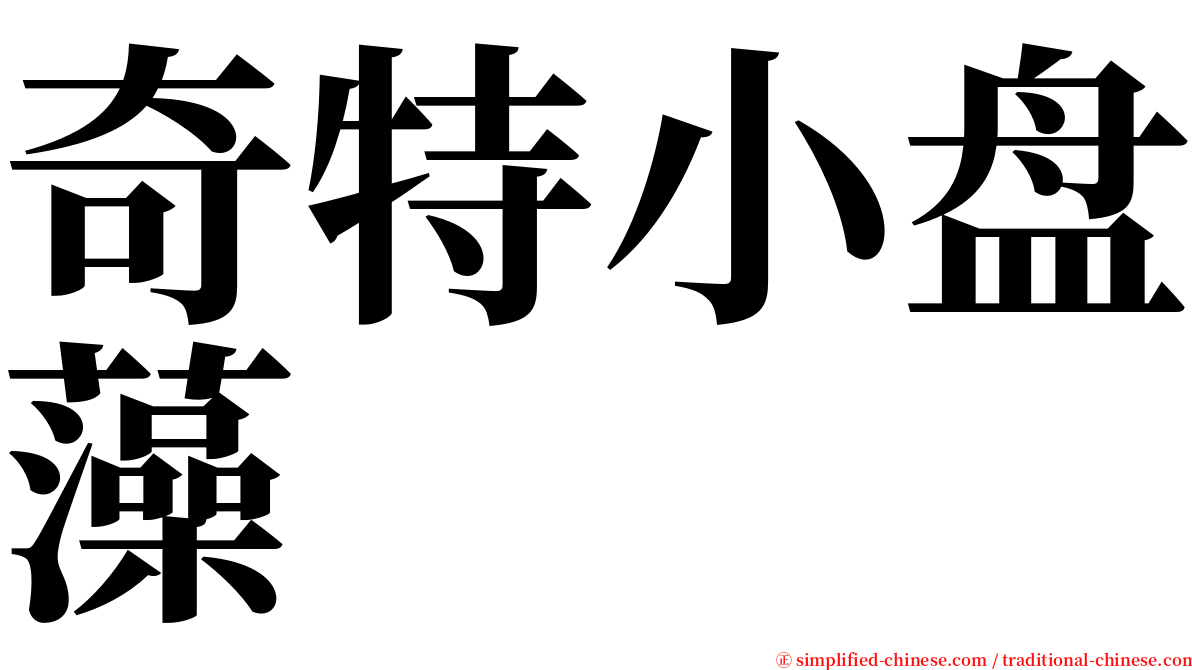 奇特小盘藻 serif font