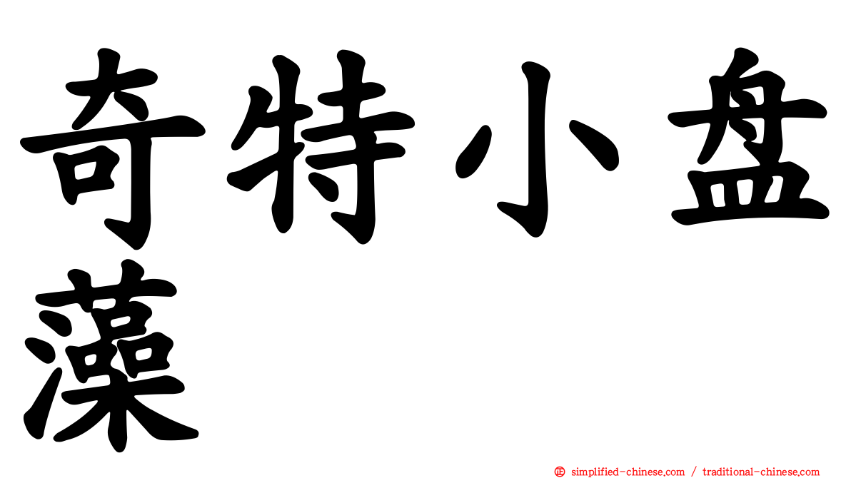 奇特小盘藻