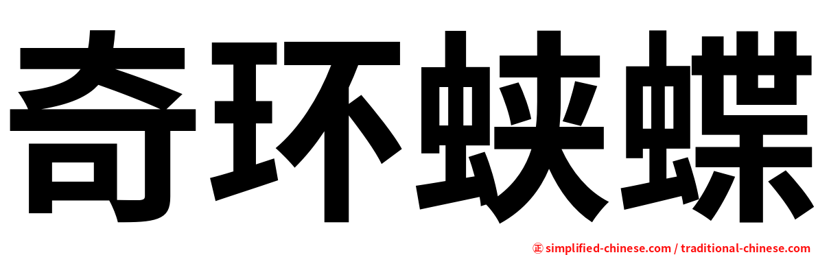 奇环蛱蝶
