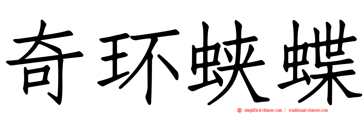 奇环蛱蝶