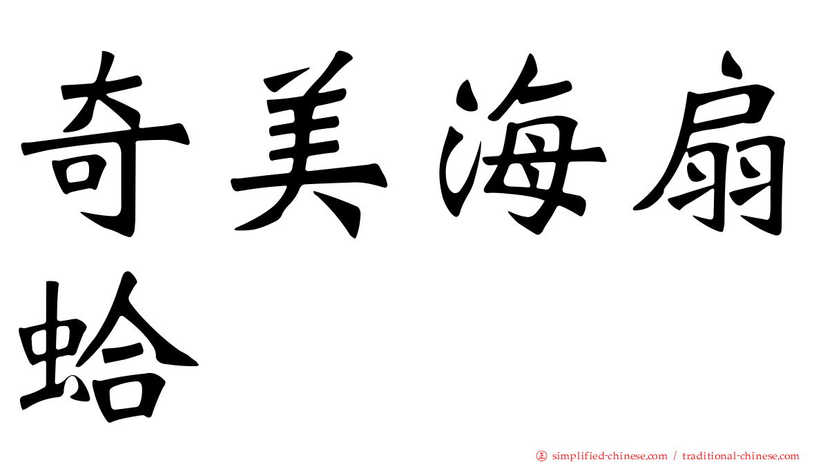 奇美海扇蛤
