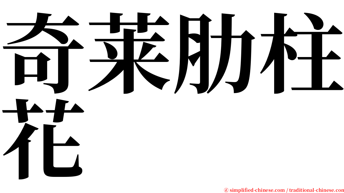 奇莱肋柱花 serif font