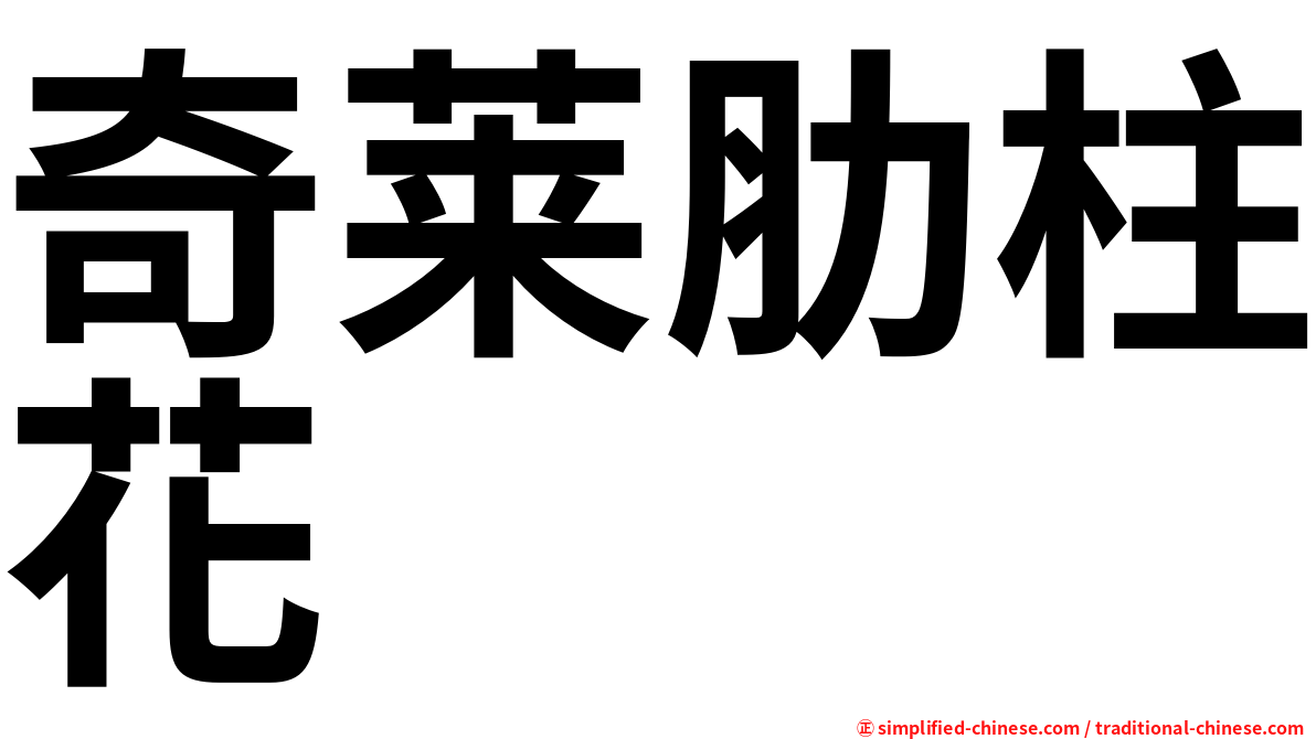 奇莱肋柱花