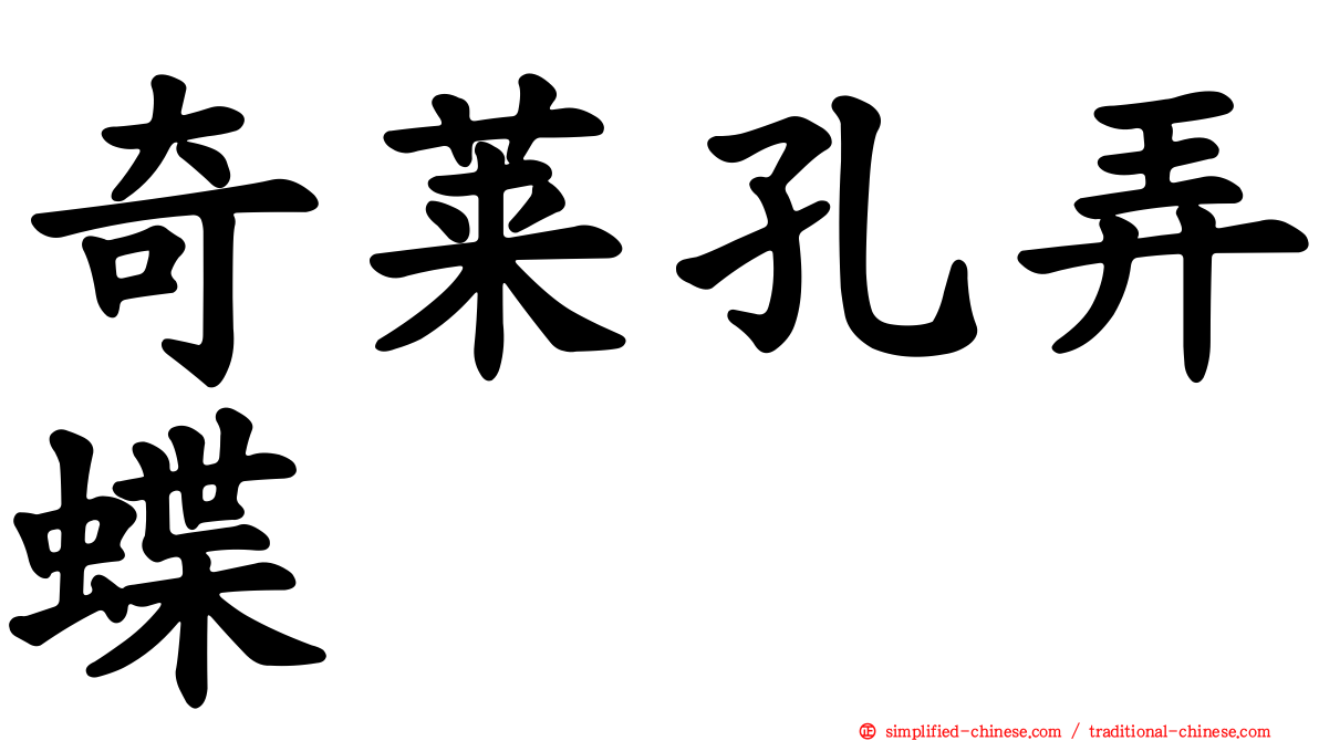 奇莱孔弄蝶