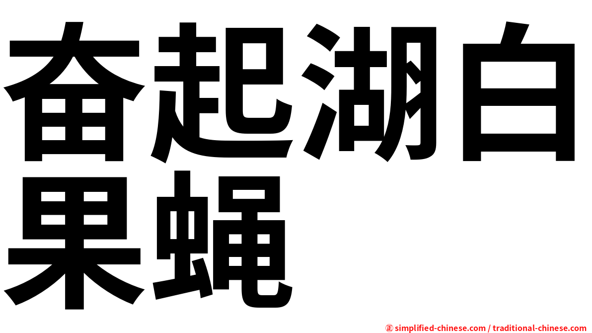 奋起湖白果蝇