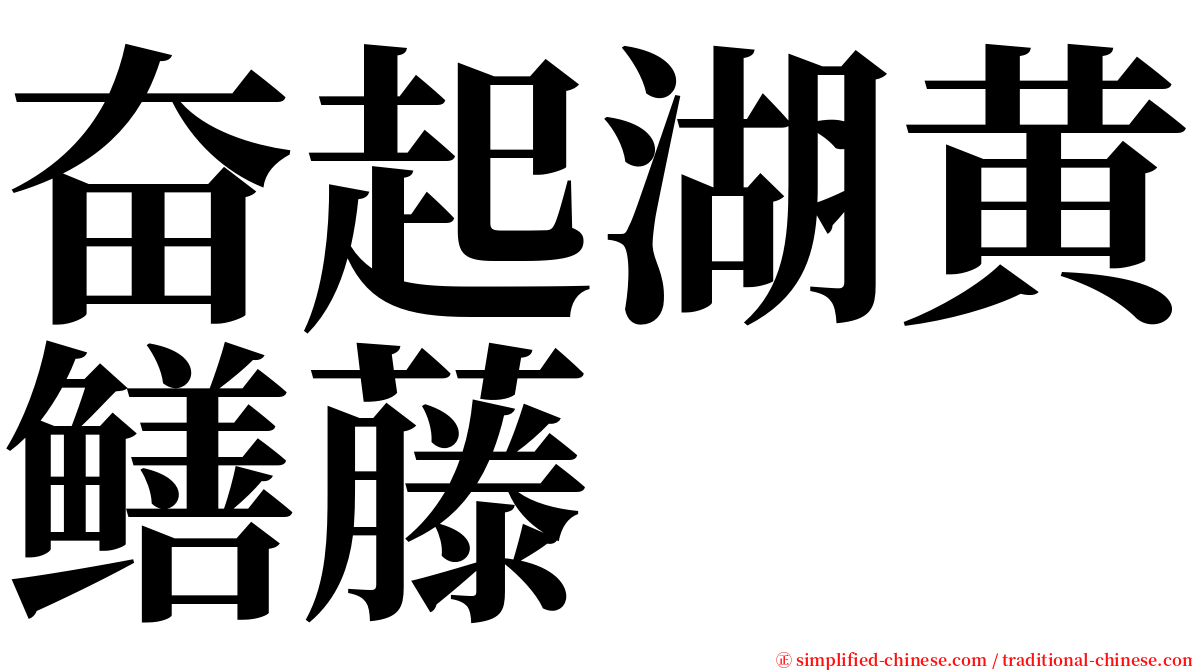 奋起湖黄鳝藤 serif font