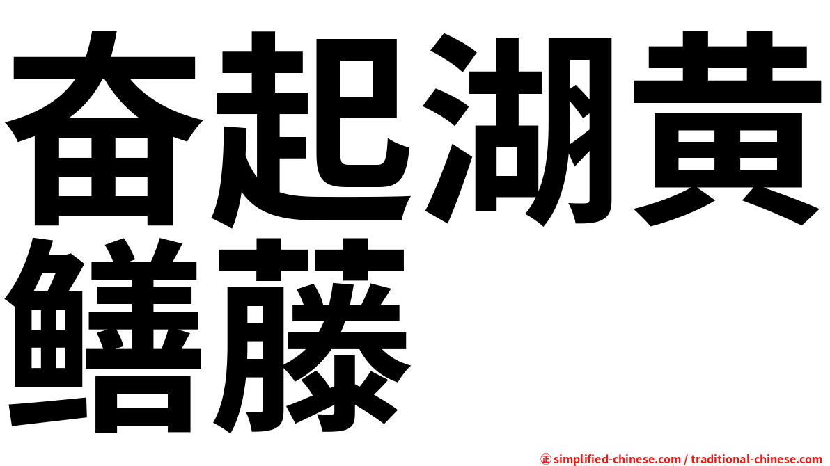 奋起湖黄鳝藤