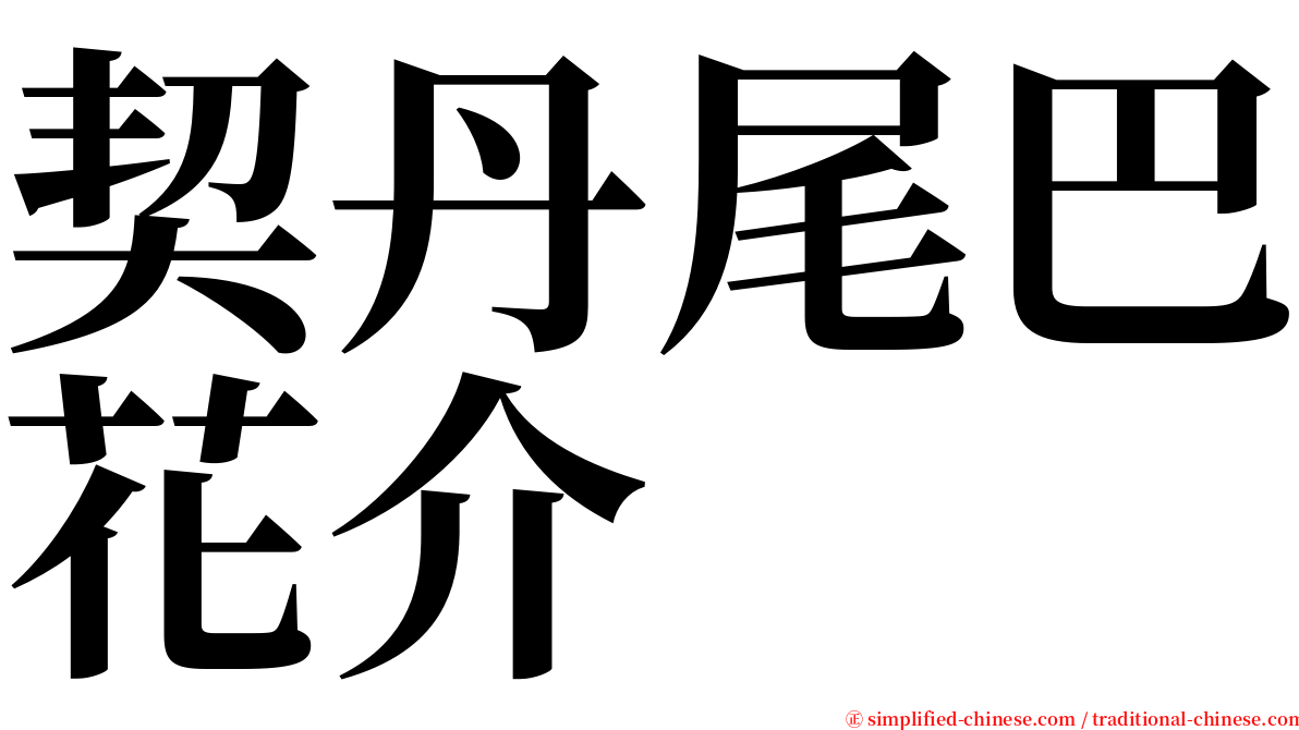契丹尾巴花介 serif font