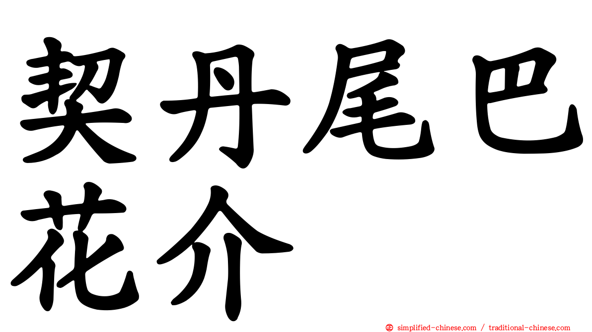 契丹尾巴花介