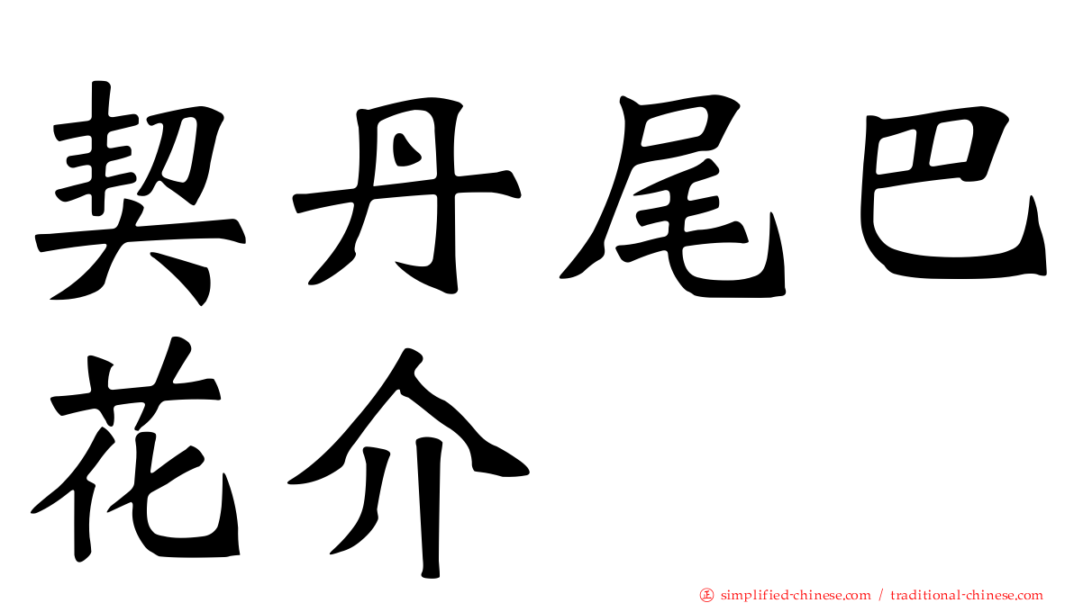 契丹尾巴花介