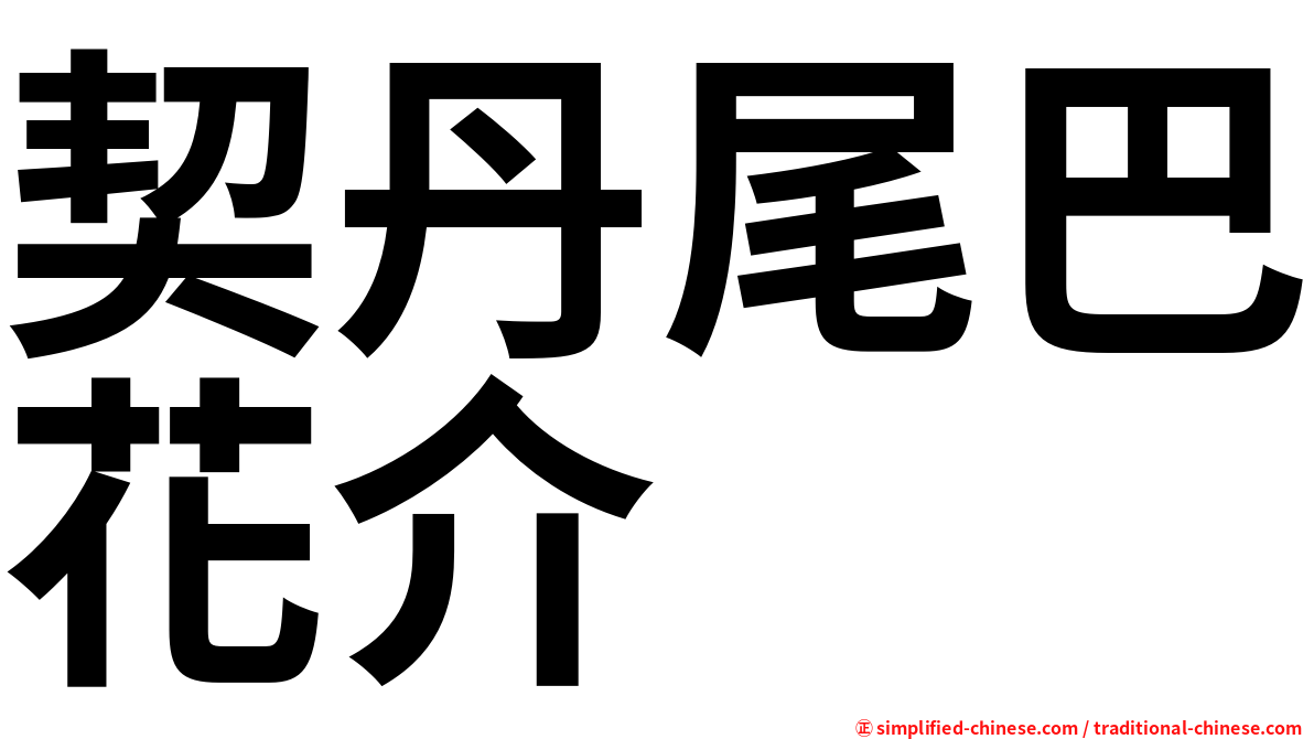 契丹尾巴花介