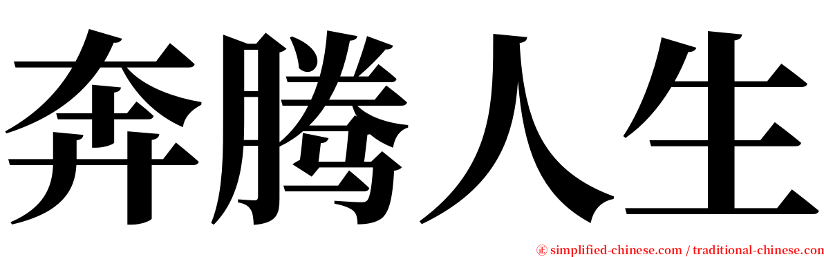 奔腾人生 serif font
