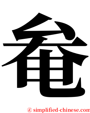 奙 serif font