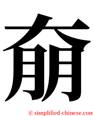 奟 serif font