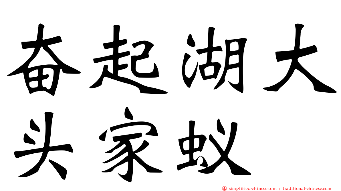 奋起湖大头家蚁