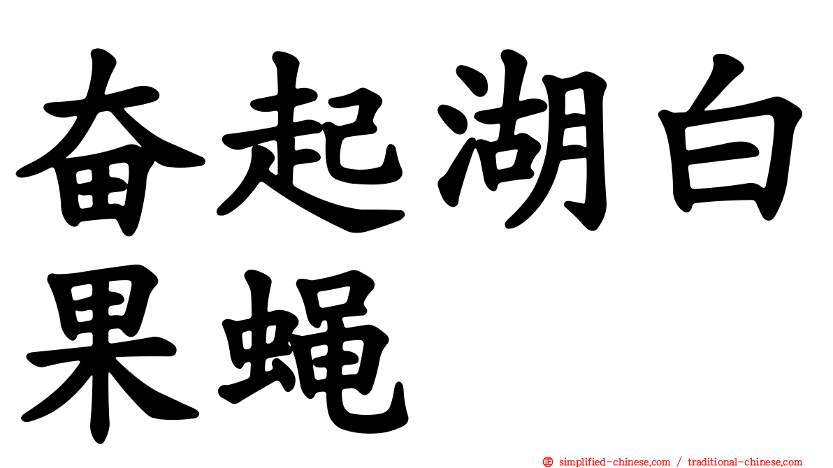 奋起湖白果蝇
