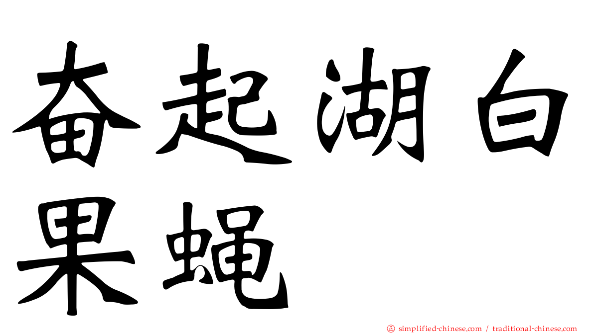 奋起湖白果蝇