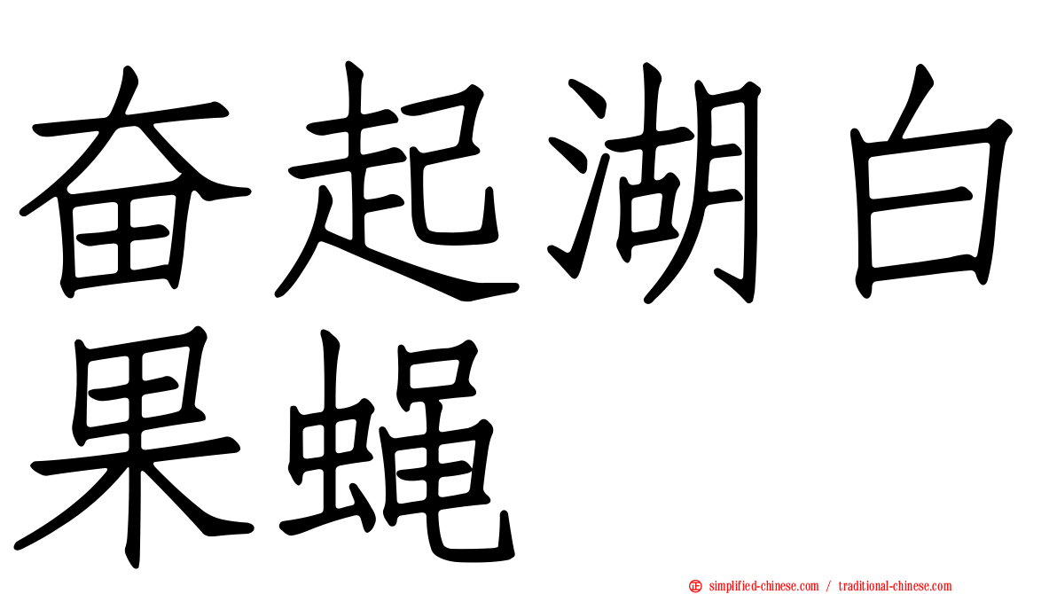 奋起湖白果蝇