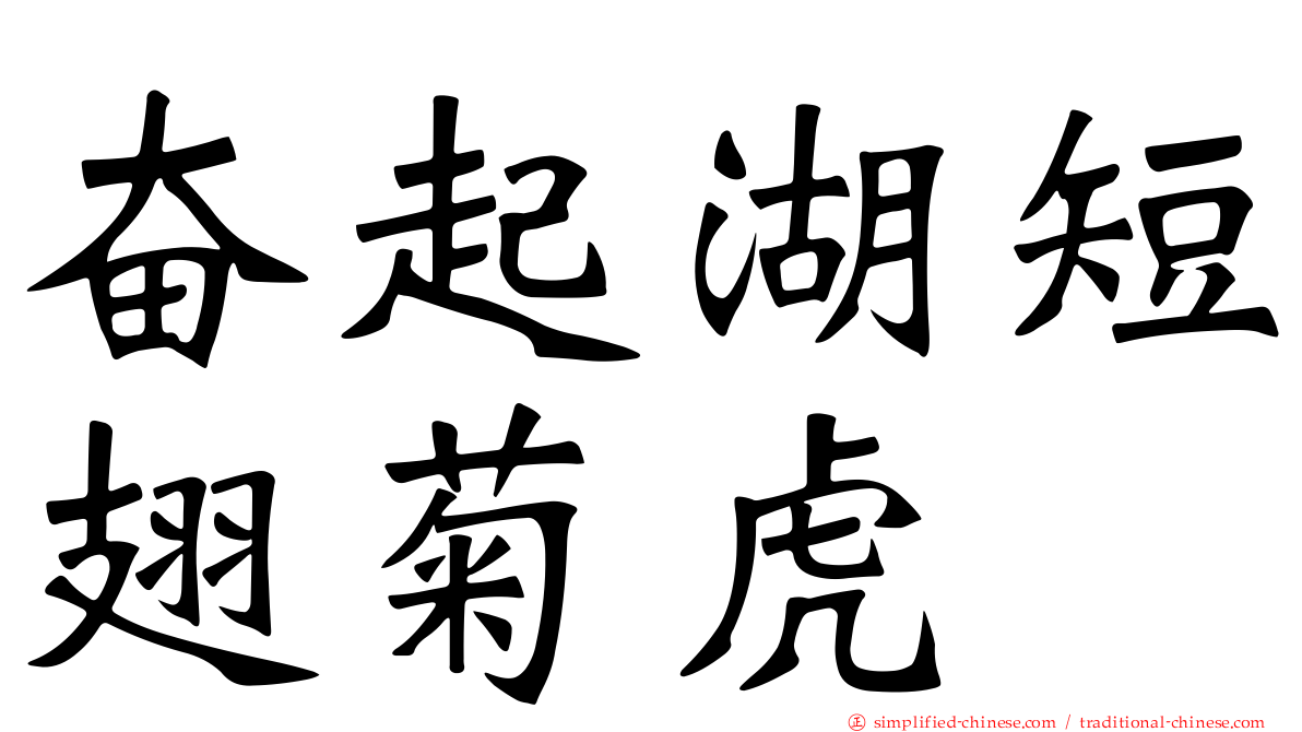 奋起湖短翅菊虎