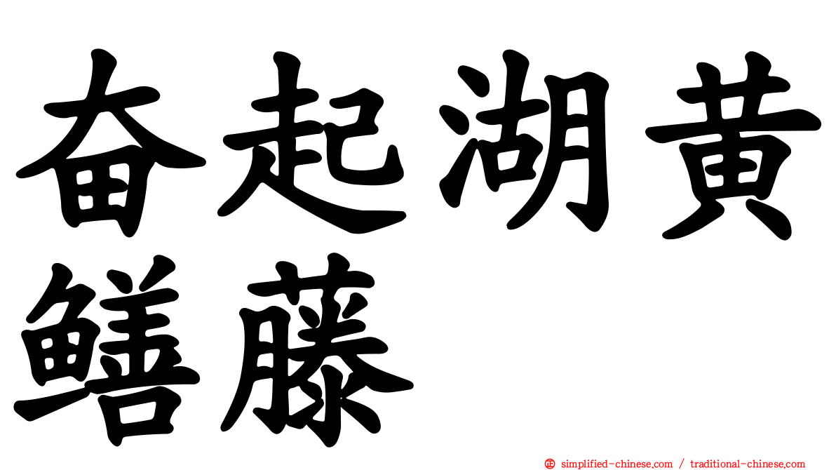 奋起湖黄鳝藤