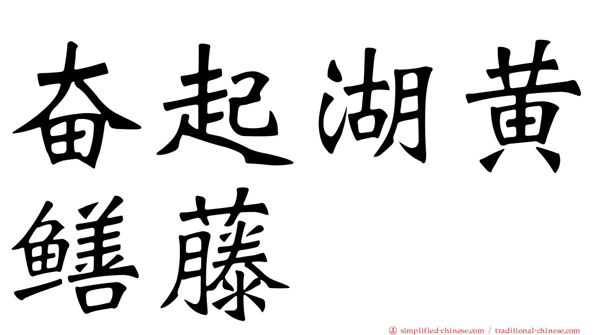 奋起湖黄鳝藤