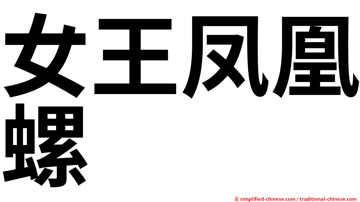 女王凤凰螺